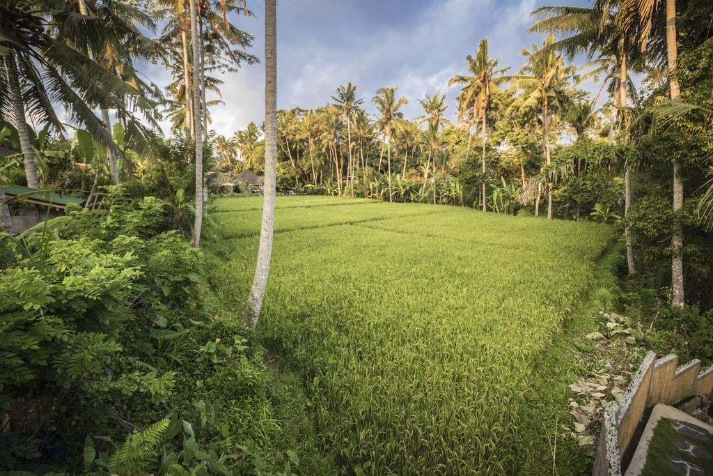 Serenity & Ubud (Bali)