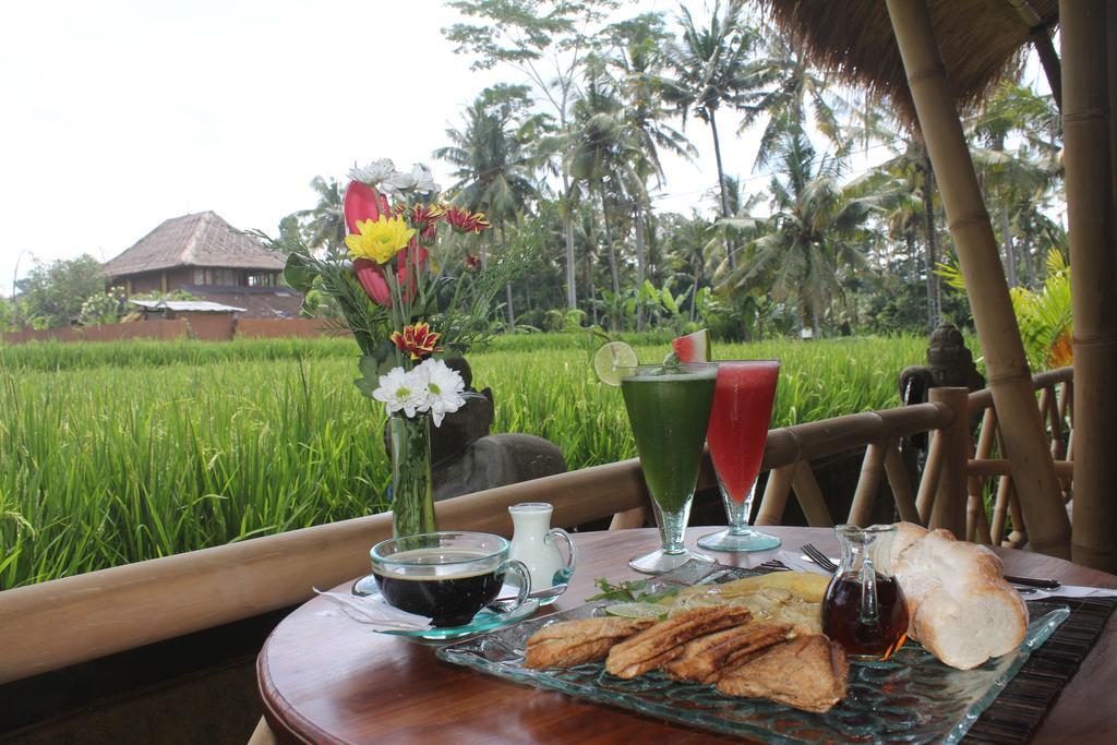 Villa Serenity &