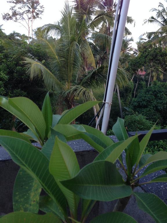 Homestay Cebluk Sari Ubud (Bali)