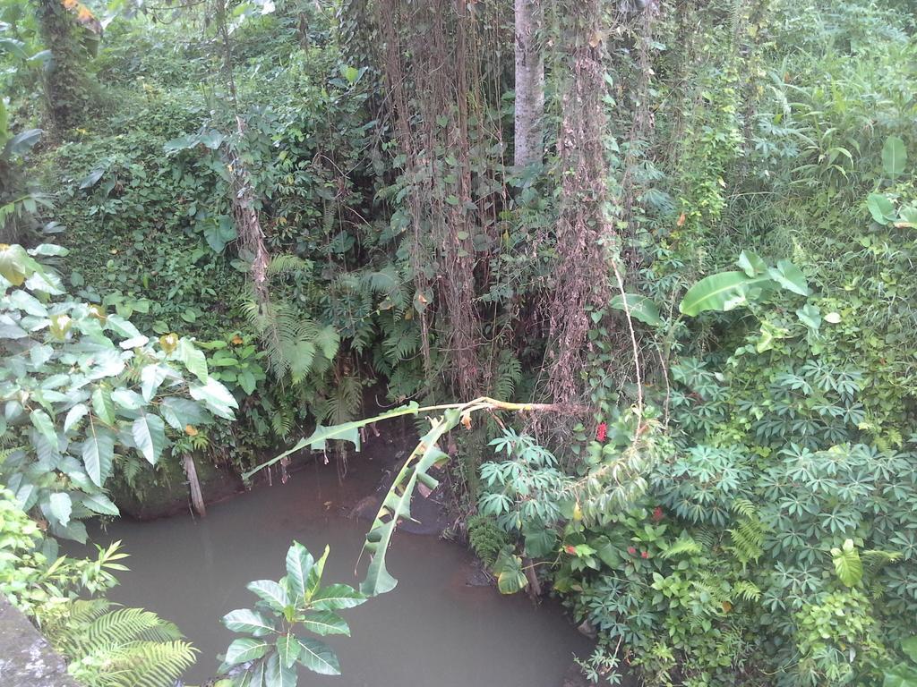 Dewi Ayu Rumah tetamu
