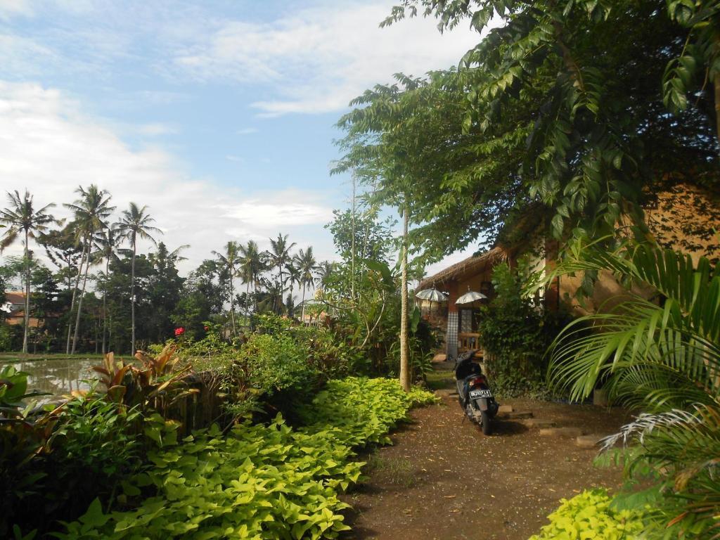 Jasmine Ubud (Bali)