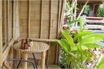 Laksmi Ecottages Ubud (Bali)