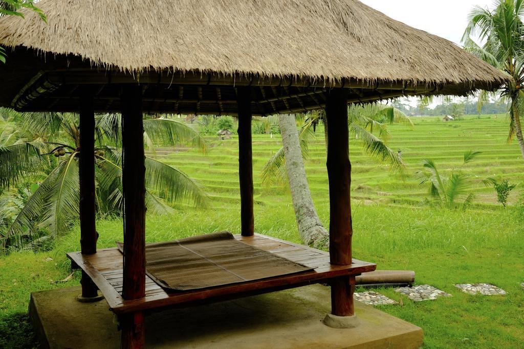 Green House Guest house Ubud (Bali)