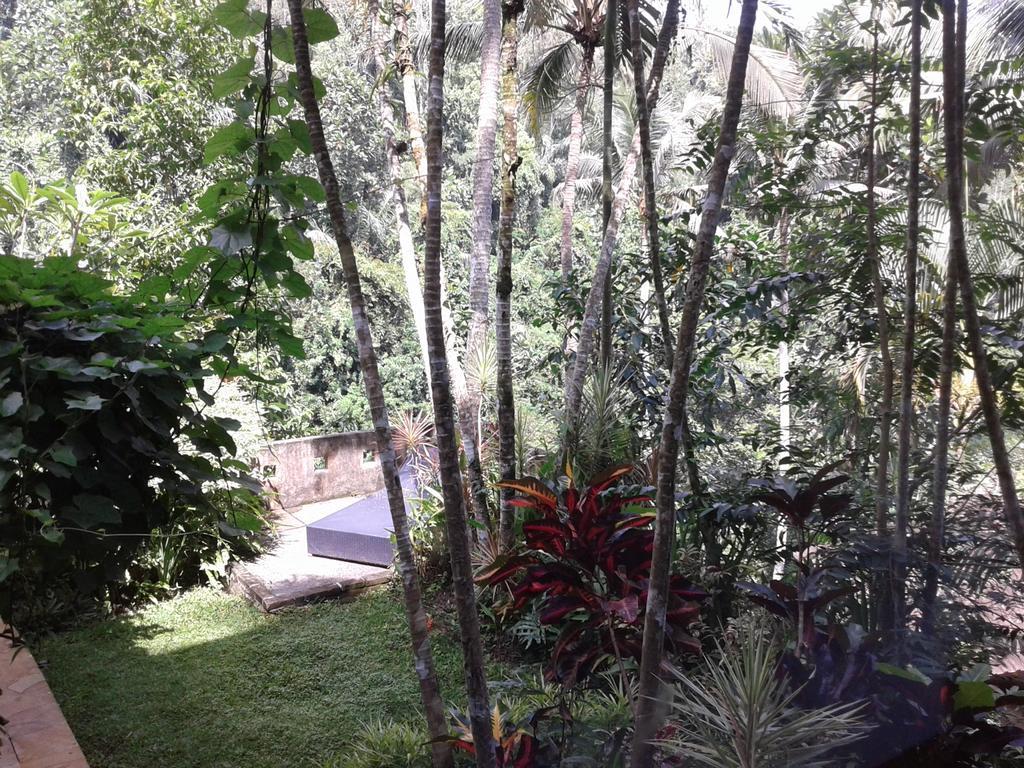 Anahata And Ubud (Bali)
