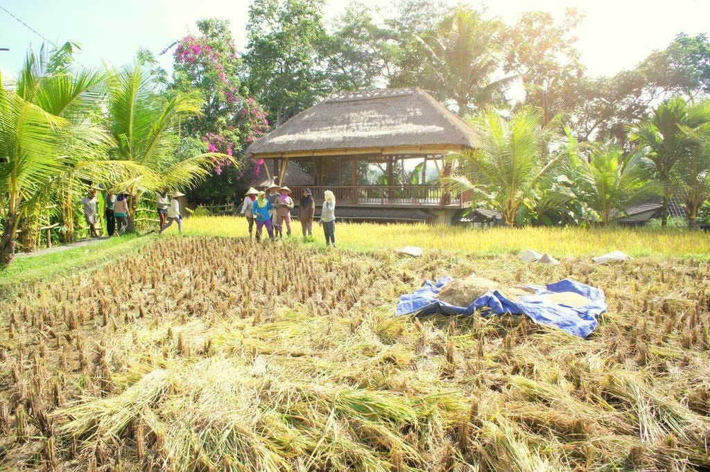 Prashanti Bali Ubud