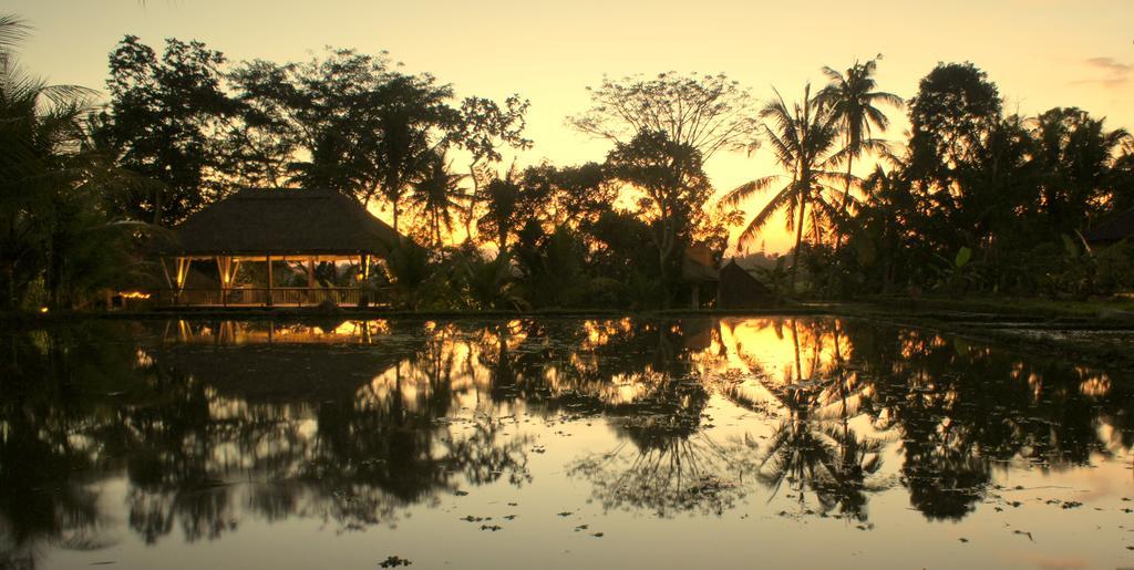 Prashanti Bali