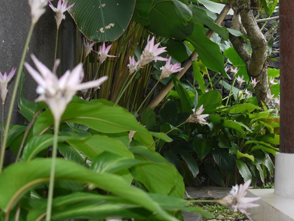 Rumah Dadong Ubud (Bali)