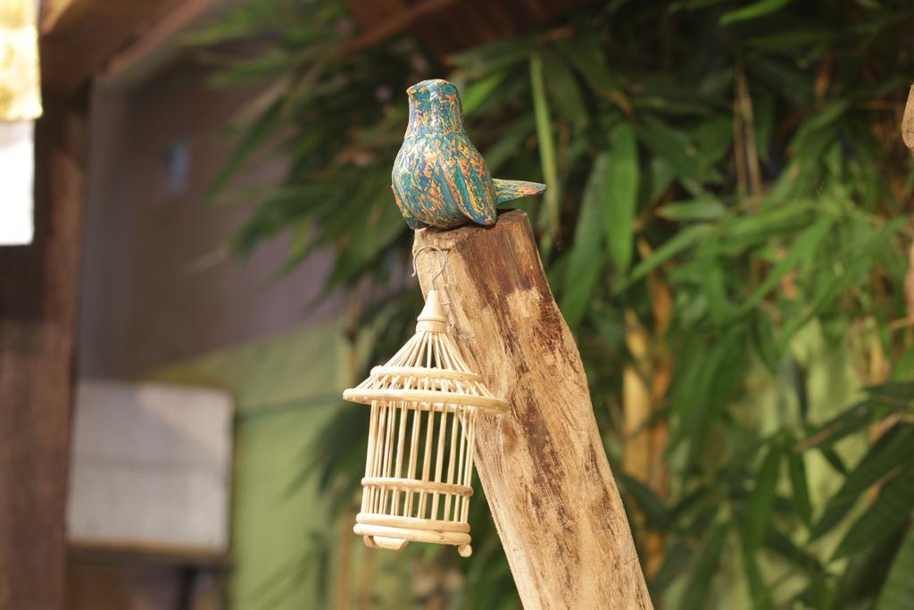 Bird - Chse Certified Holiday park Ubud (Bali)