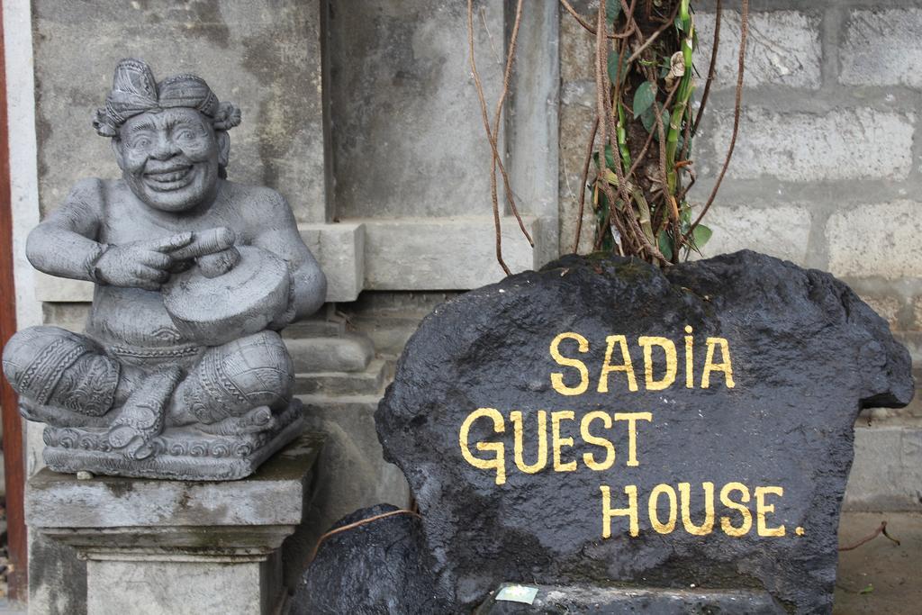 Guest house Sadia *