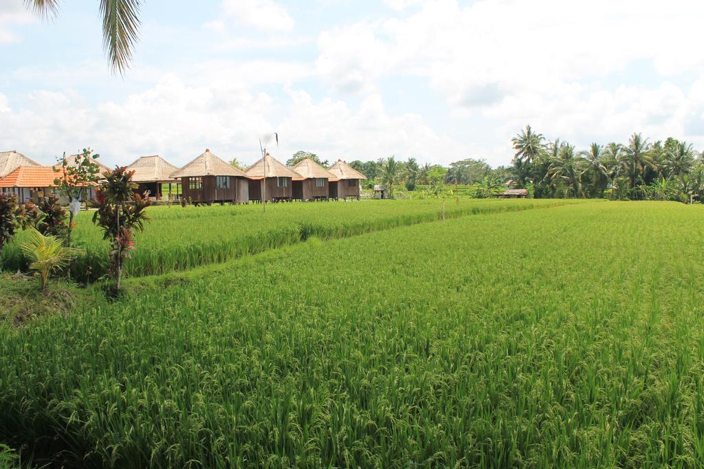 Campo de férias Taman Bintang 4*