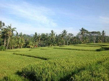 Villa Anusara Luxury Villas Ubud (Bali)
