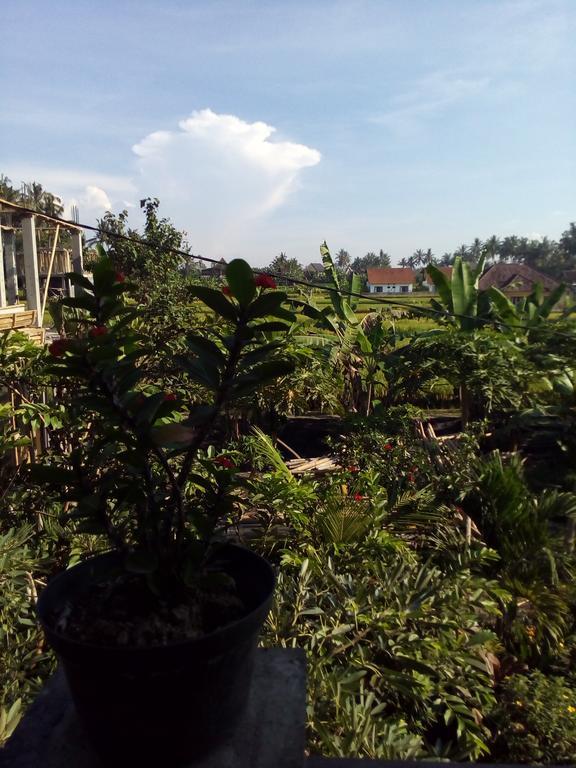 Restu House Rumah tetamu 2*