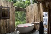 Dd Jungle Hotel 3*