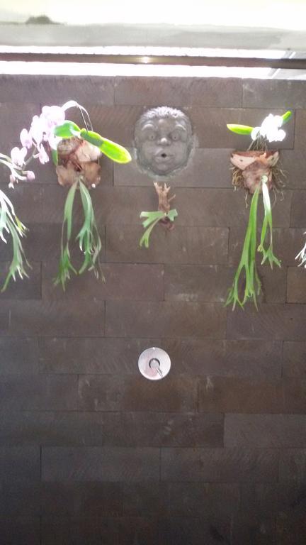Bed & Breakfast Vinaya