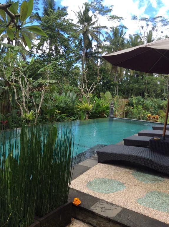 Tini Guest house 2*