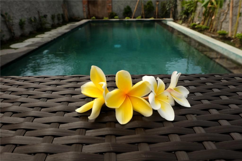 Guest house Eka Bali