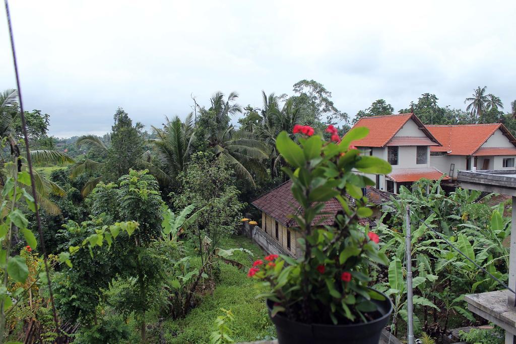 Restu House Rumah tetamu Ubud (Bali)