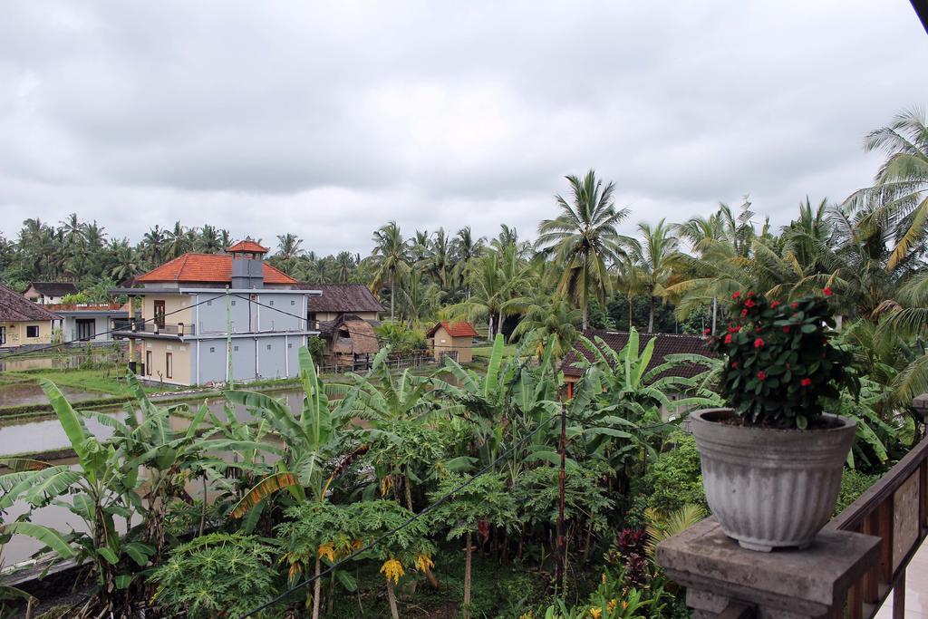 Restu House Rumah tetamu