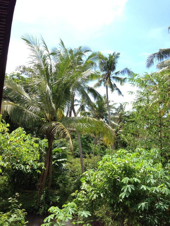 Homestay Cebluk Sari