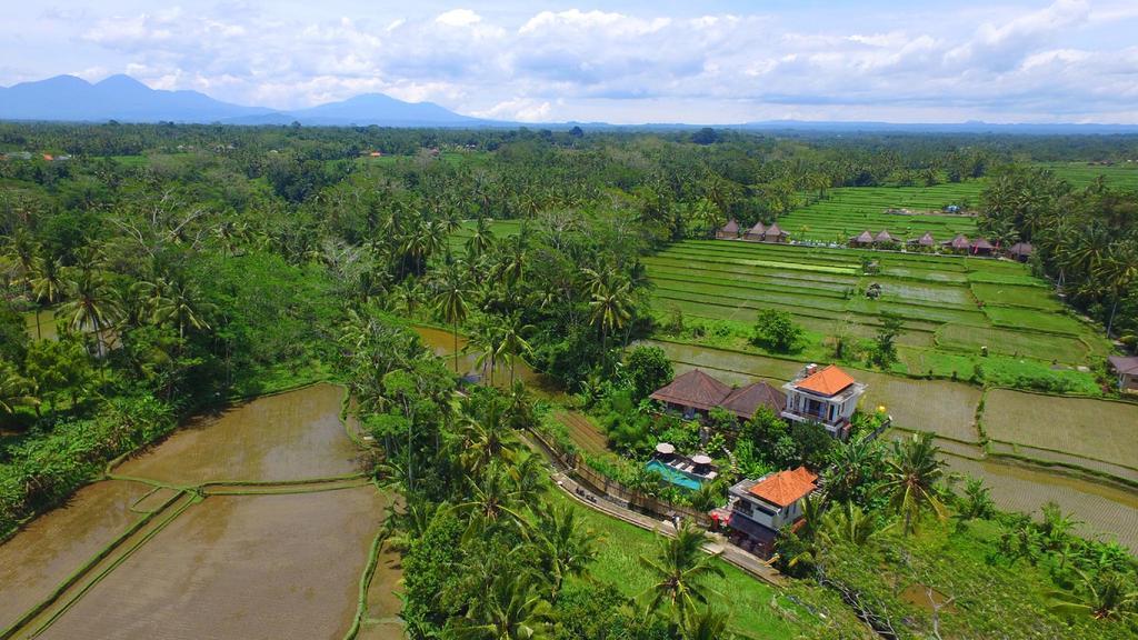 Tini Ubud (Bali)