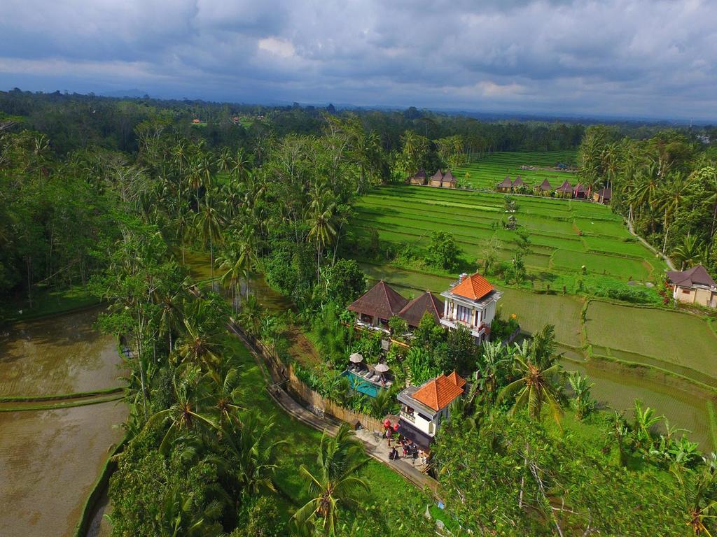 Guest house Tini Ubud (Bali)