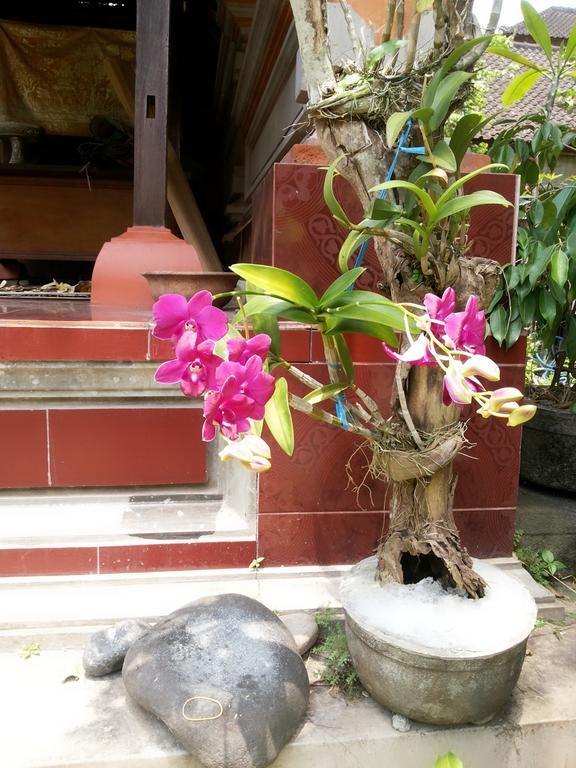 Dekwah * Ubud (Bali)