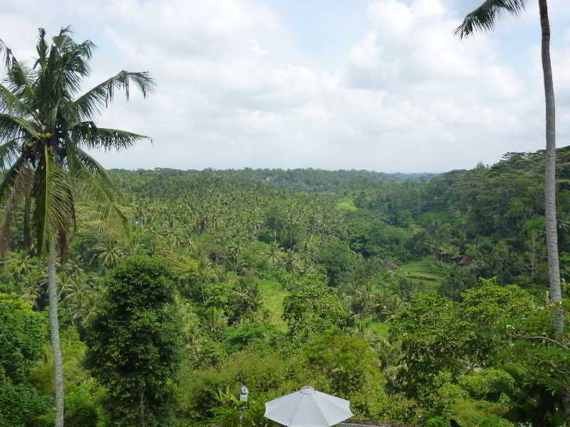 Sayan Terrace 4* Ubud (Bali)