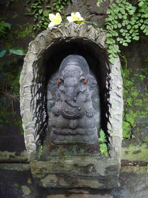 Bali Asli By Eps Guest house Ubud (Bali)