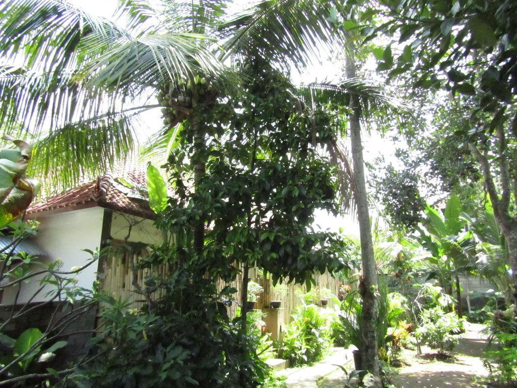 Homestay Svaka