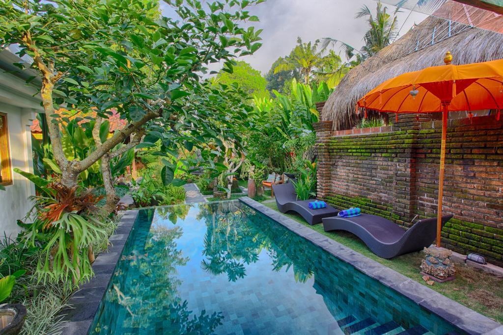 Imagine Bali Taman percutian Ubud (Bali)