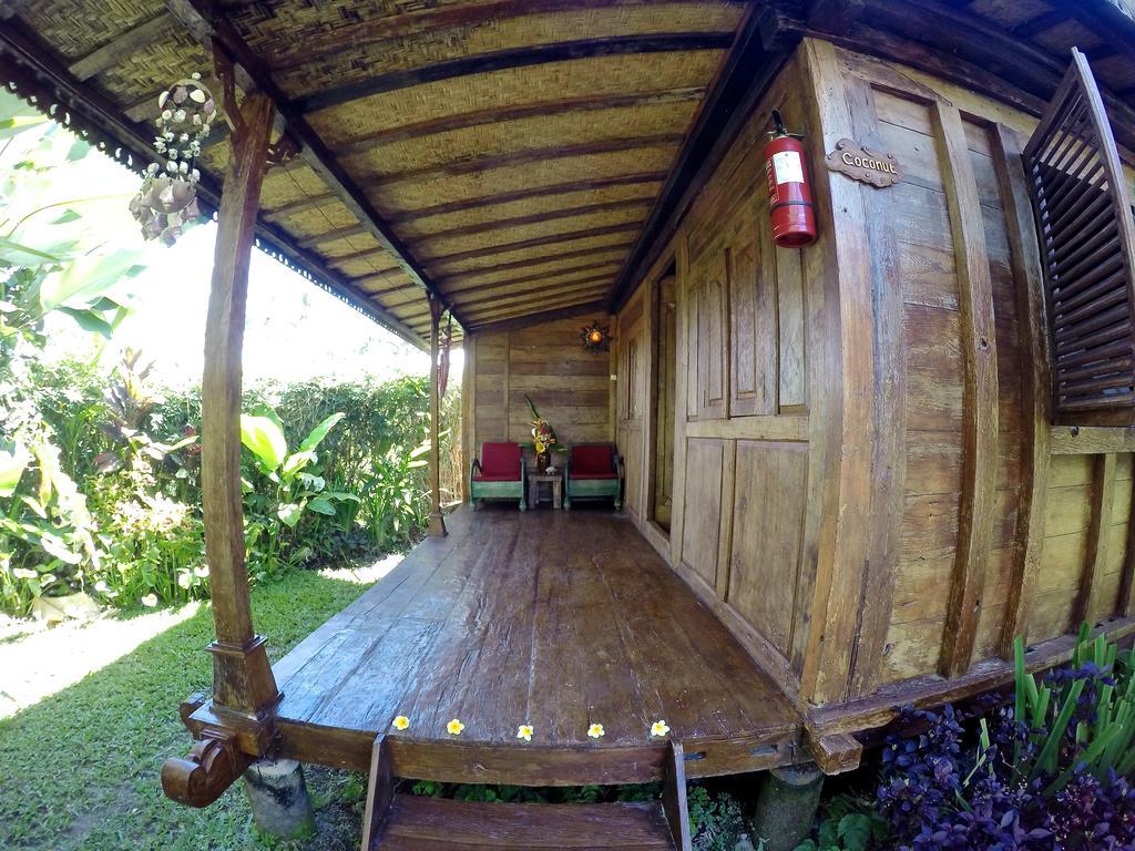 Holiday park Dragonfly Village