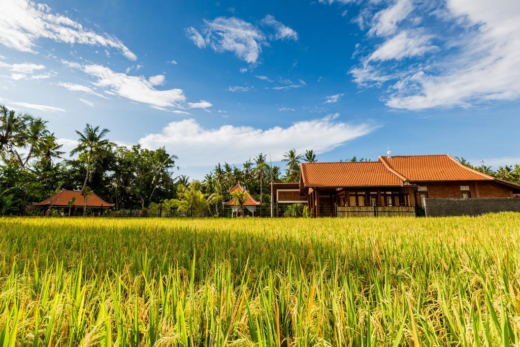 Villa Maluhia Haven Ubud (Bali)