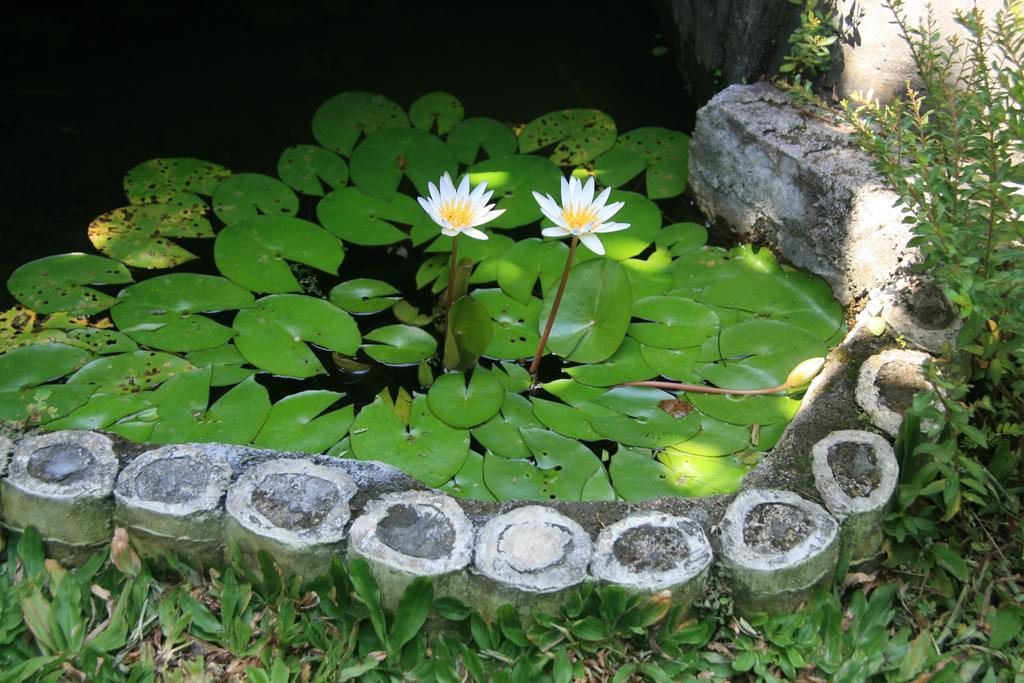 Ojek's Accommodatie bij particulieren Ubud