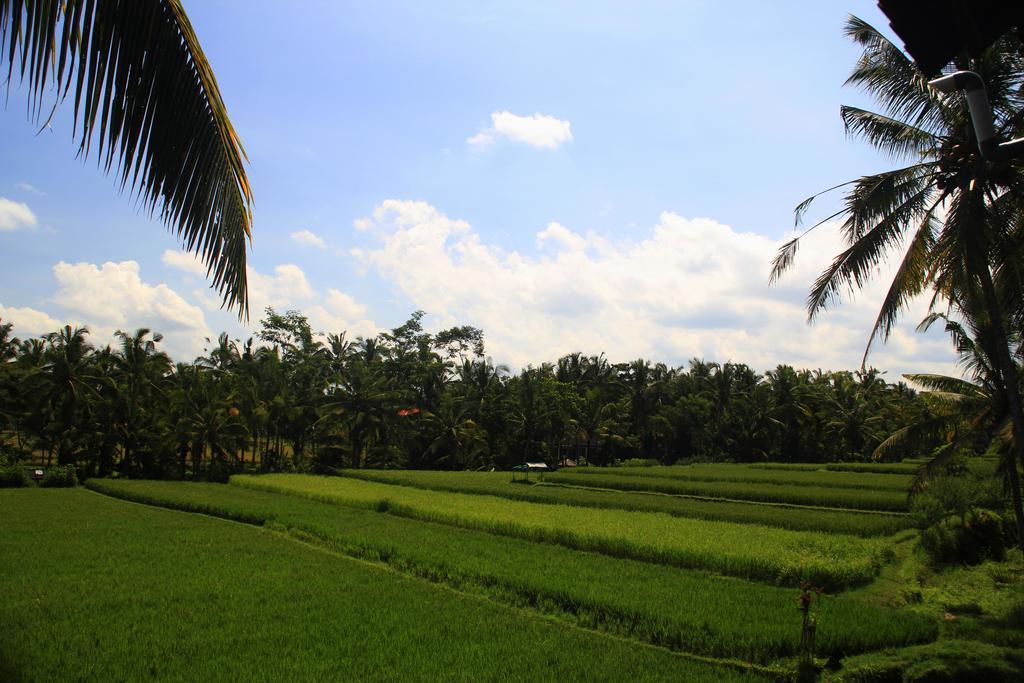 Wisma tamu Junjungan Hotel&spa 3*