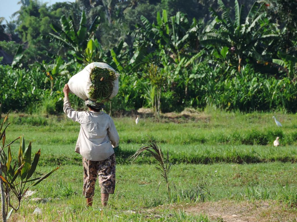 Budhi Ayu Taman liburan Ubud (Bali)