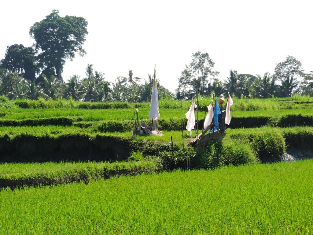 Taman liburan Budhi Ayu 3*