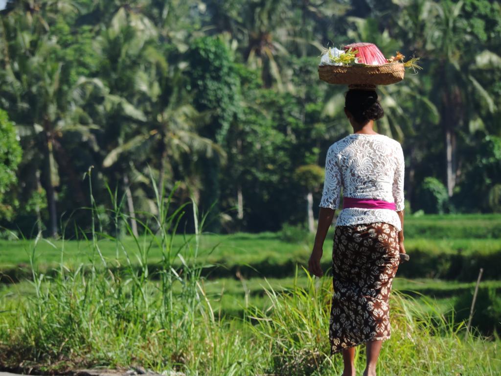 Budhi Ayu Taman liburan 3*