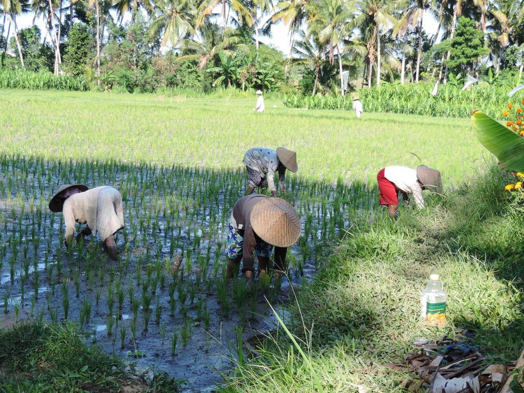 Budhi Ayu Taman liburan