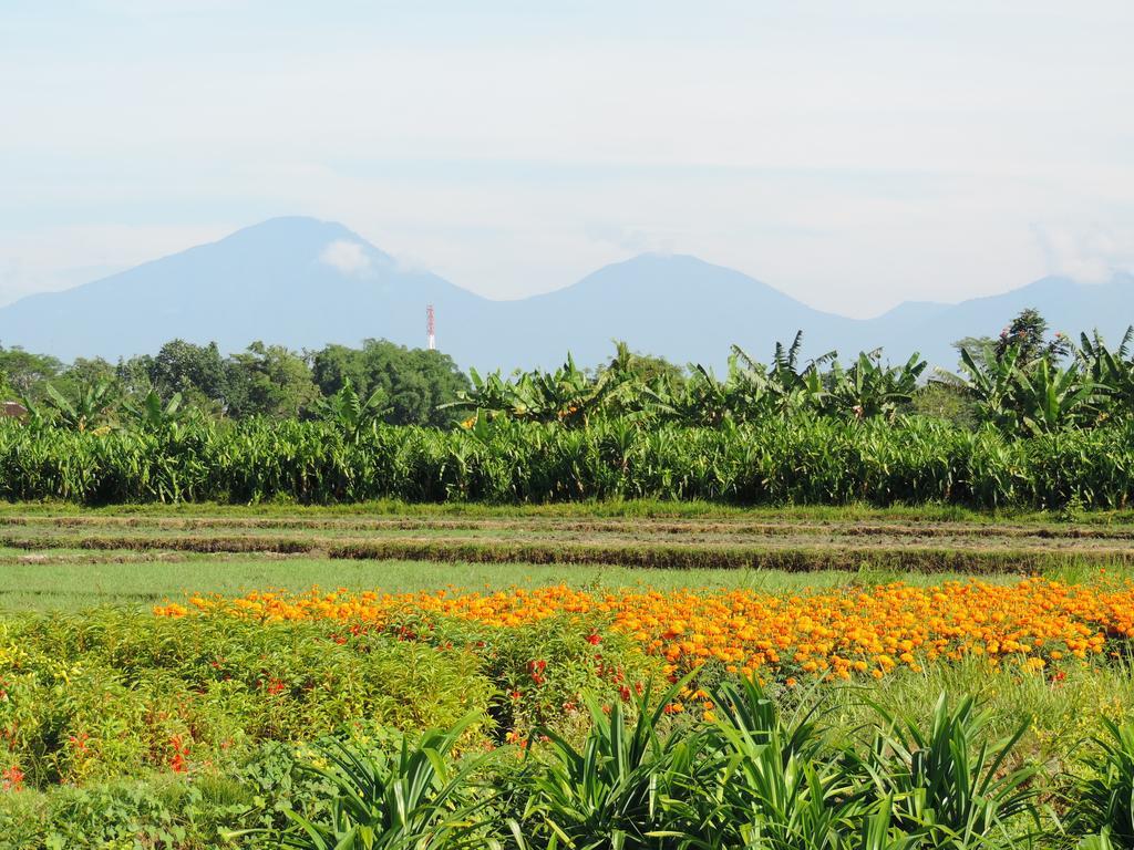 Taman liburan Budhi Ayu