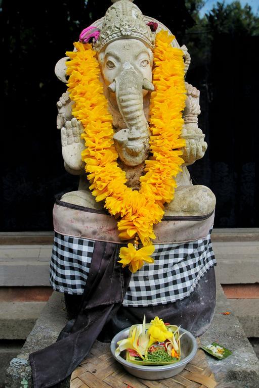 Muwa * Ubud