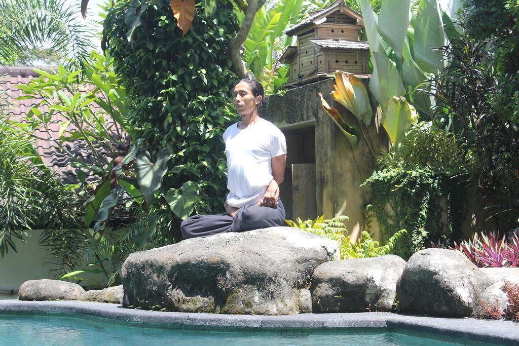 Vila Baruna Sari And Yoga Retreat