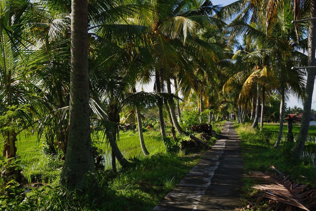 Satori Bali