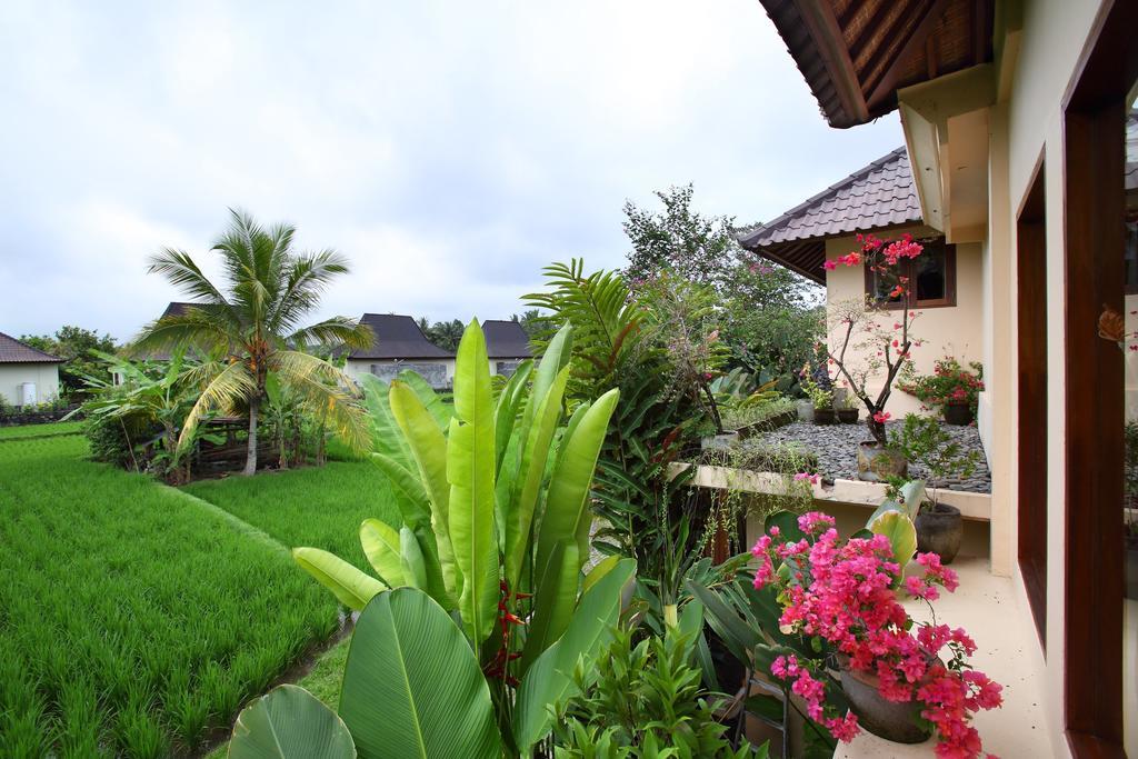 Satori Bali