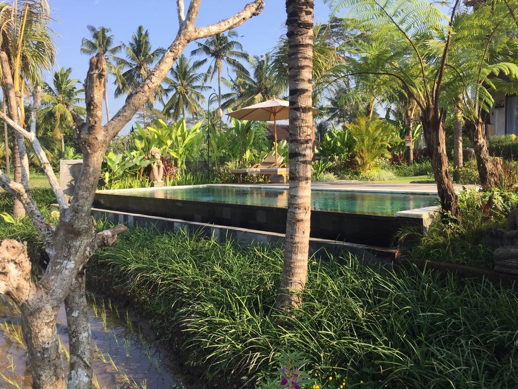 The Suris 4* Ubud