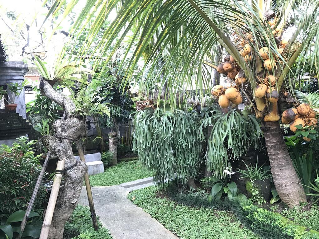Dimuwa Guest house 2*