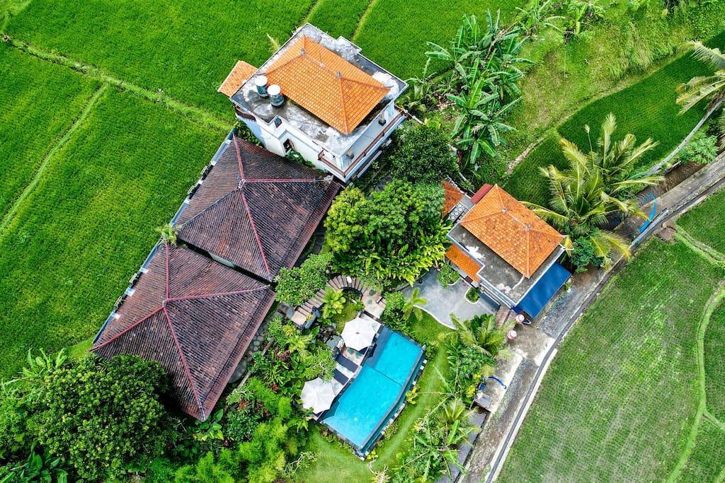 Tini Guest house Ubud (Bali)