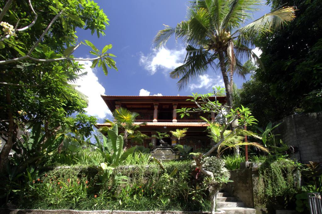 Guest house Terrace 3*