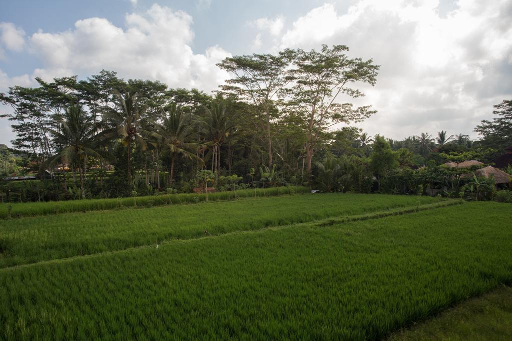 Alosta Luxury Private Villa Ubud (Bali)