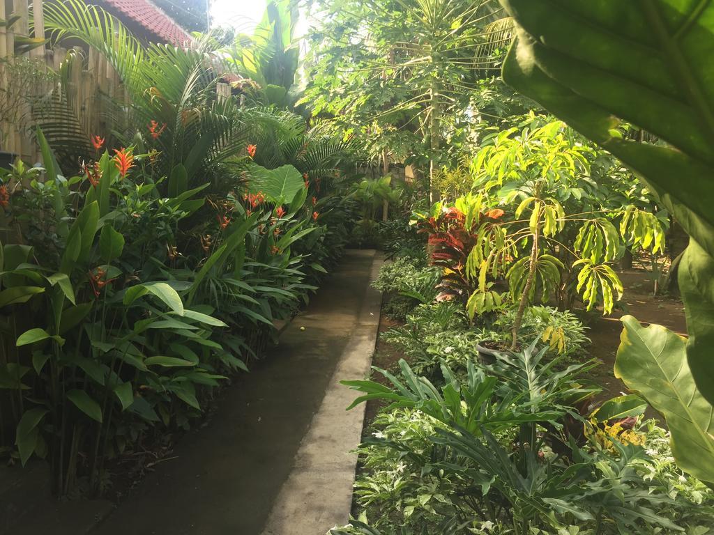 Homestay Svaka