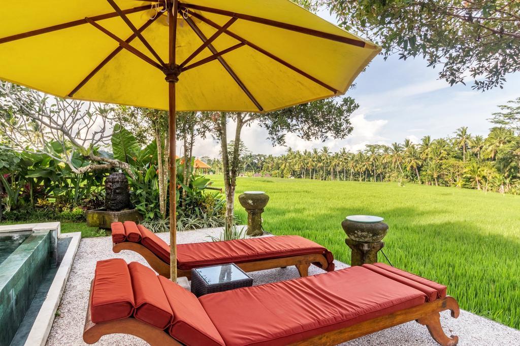 Padi Menari Pousada Ubud